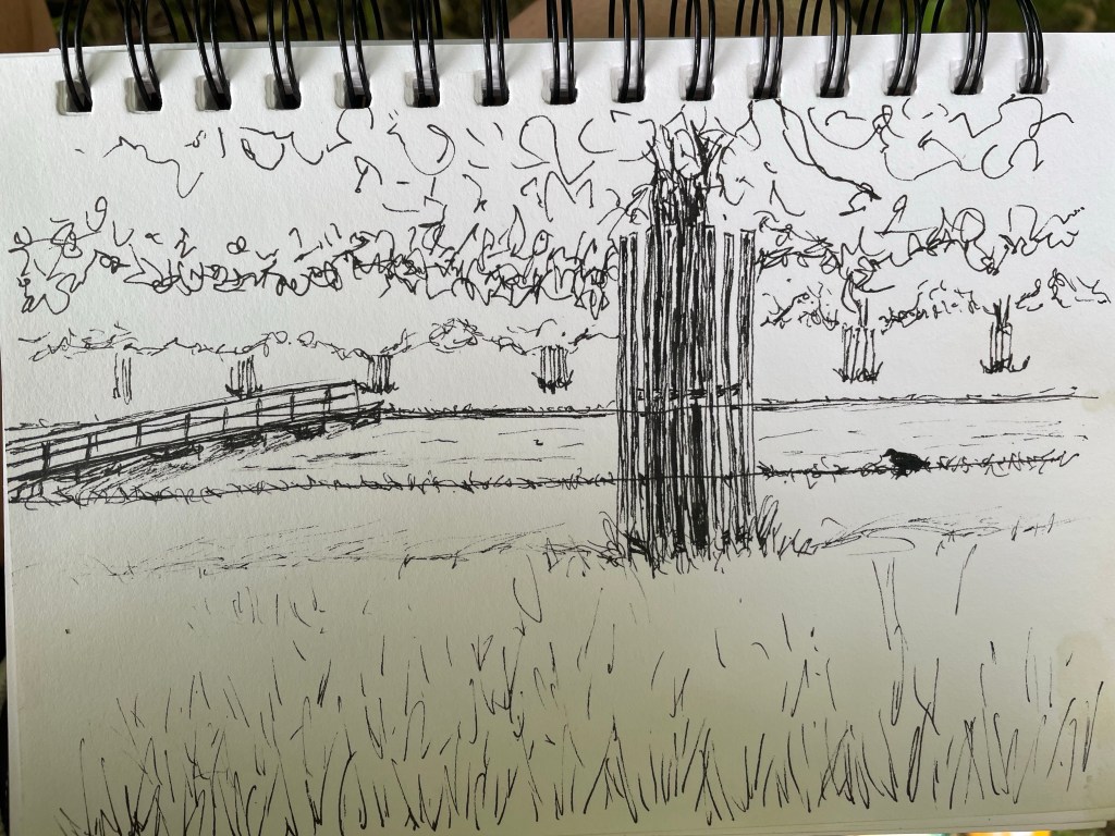 Quick Sketch at Hampton&nbsp;Court