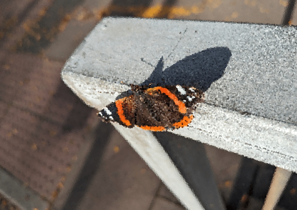 My Personal synopsis of the&nbsp;term