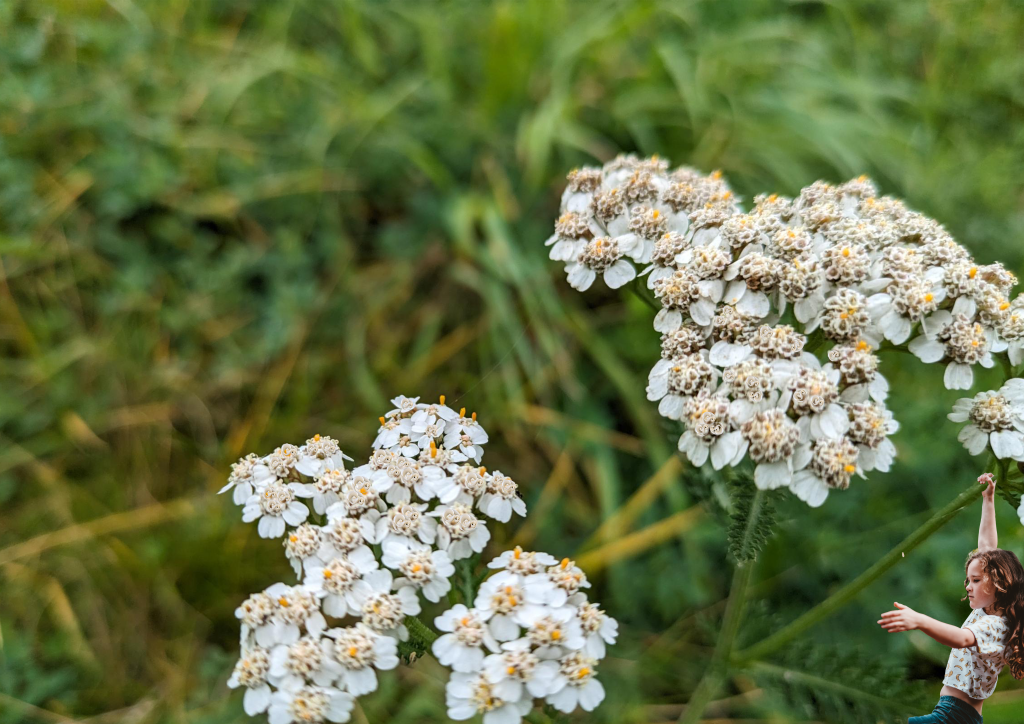 Photomontage of Modals