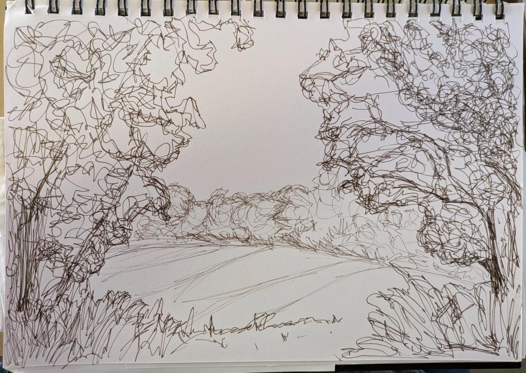 Woodland Walk Sketch