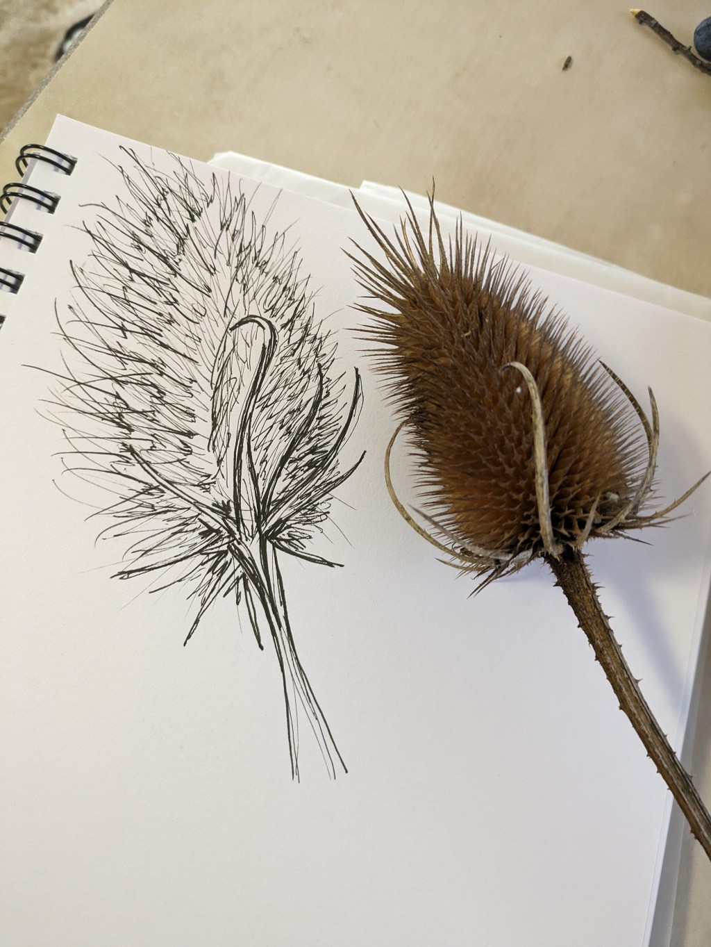 Stocking up for the&nbsp;winter!