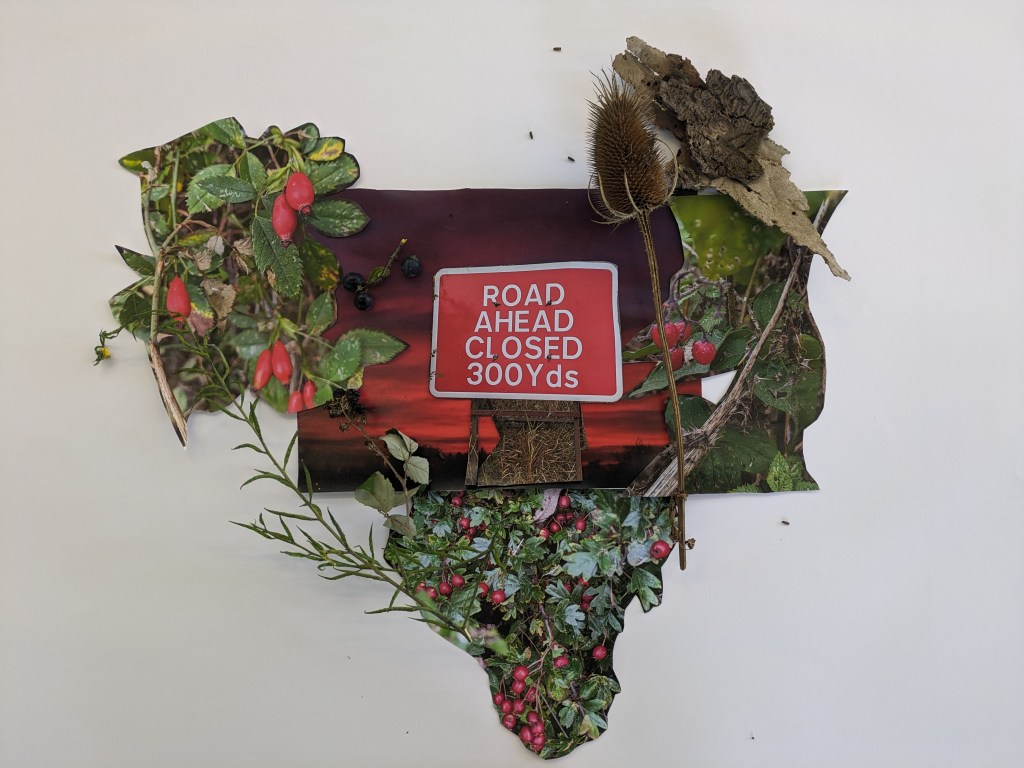 The Bounty of the&nbsp;Earth