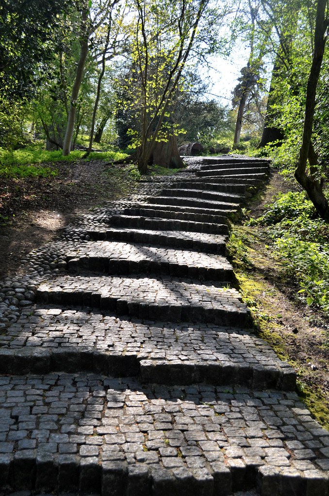 ⃝  ∆  □ Square Circle&nbsp;Triangle