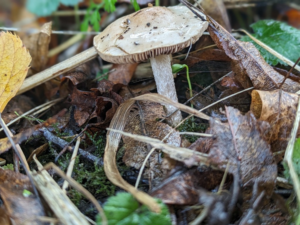 You don’t see what you aren’t looking&nbsp;for