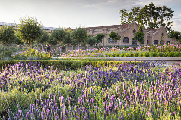 Gustafson Porter +&nbsp;Bowman