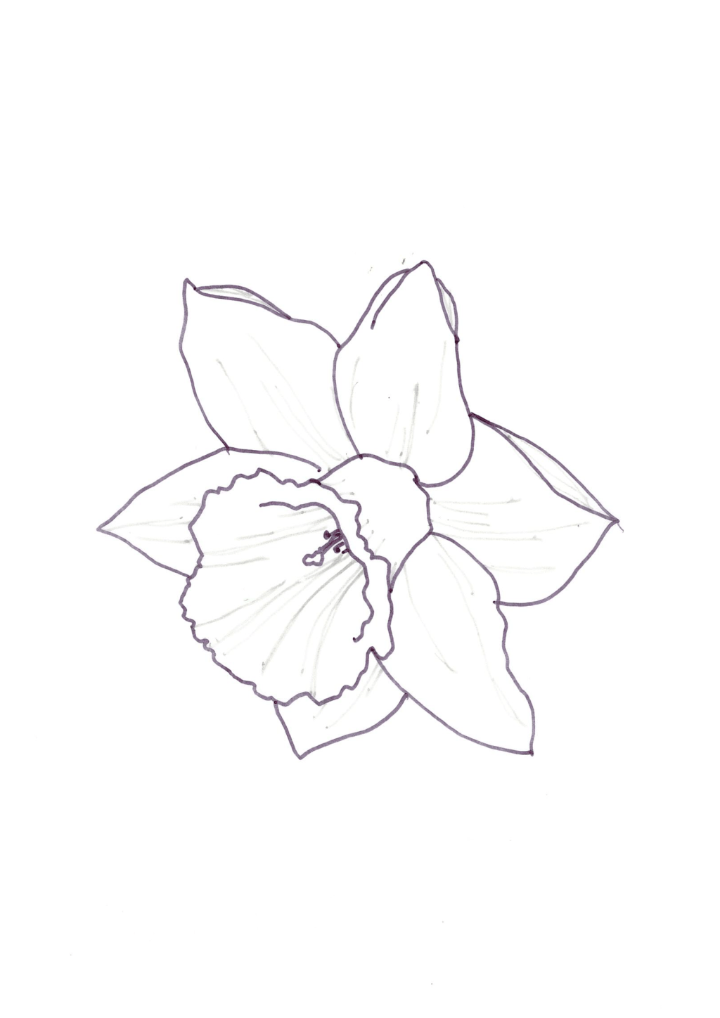 SKETCHBOOK Cheltenham Insignia