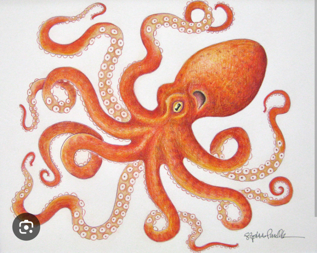 Chaumont Development