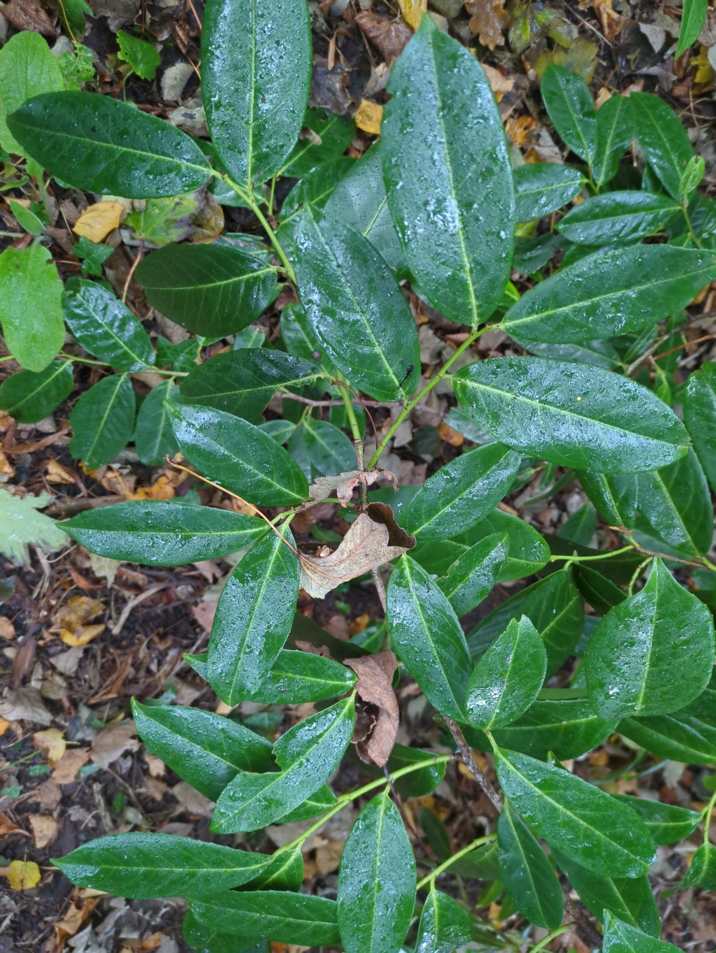 The day in the&nbsp;field.