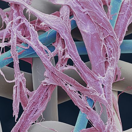 Therapeutic Connection Concept&nbsp;Development