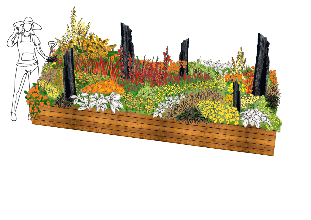 Visualising the Fire