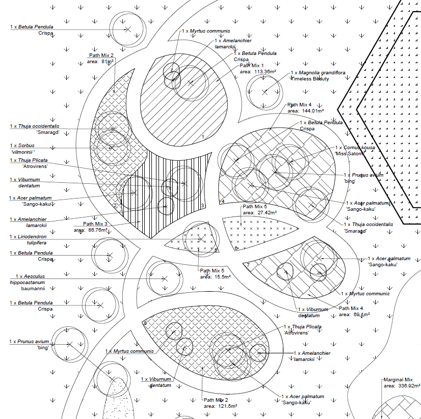 Mission Defines Strategy – Strategy Defines&nbsp;Structure