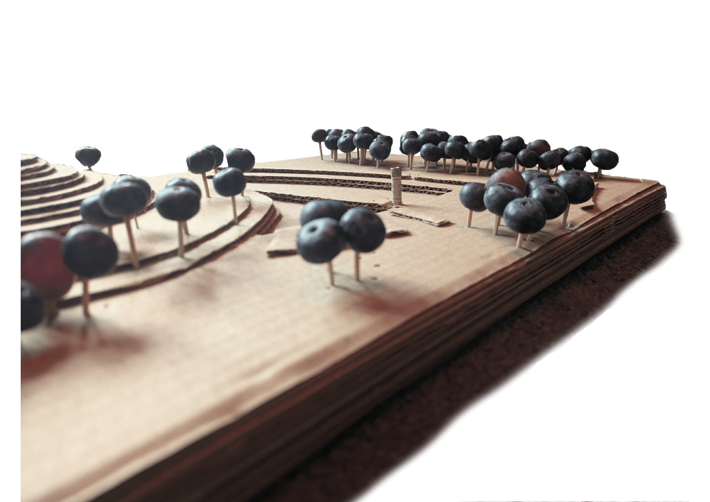 Sun Garden – SOLGARD – in&nbsp;3D